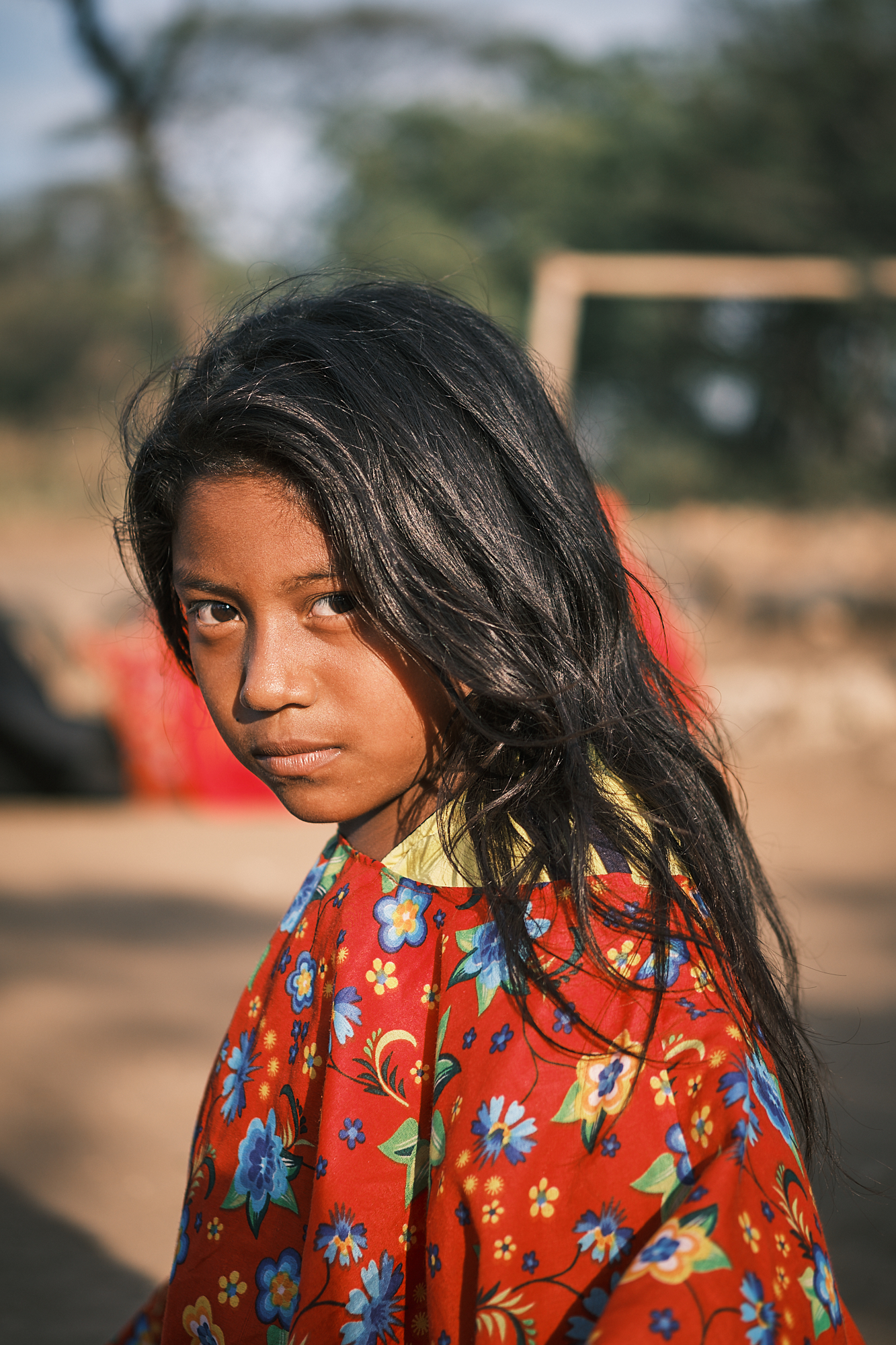 Un Sueño Wayuu 8